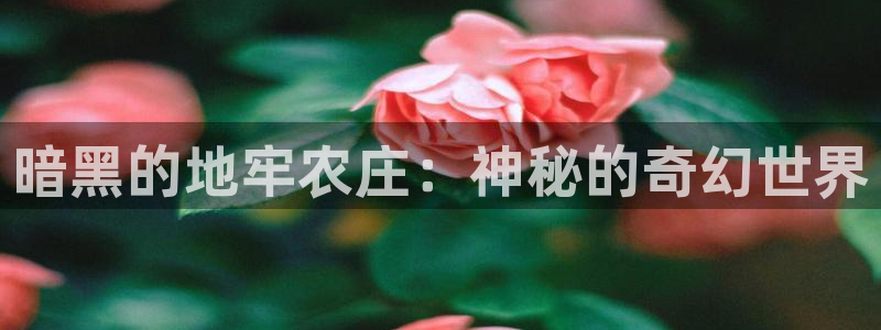 九游会J9登陆入口