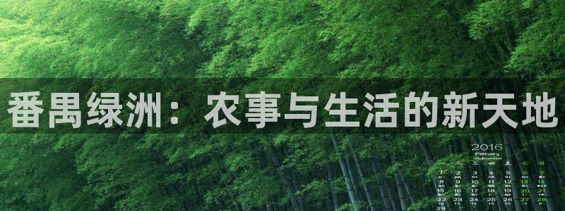 九游会的网站