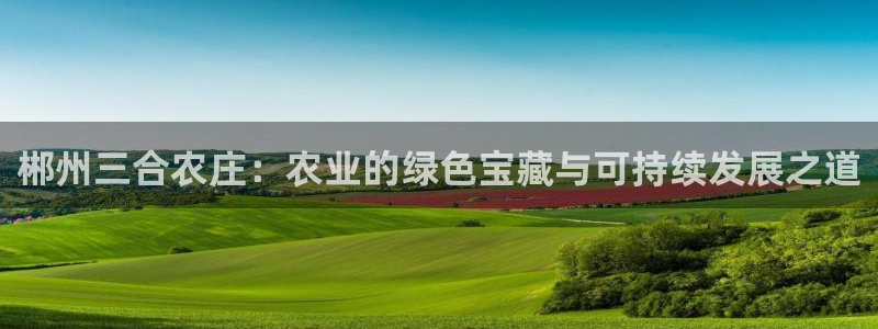 九游会正网