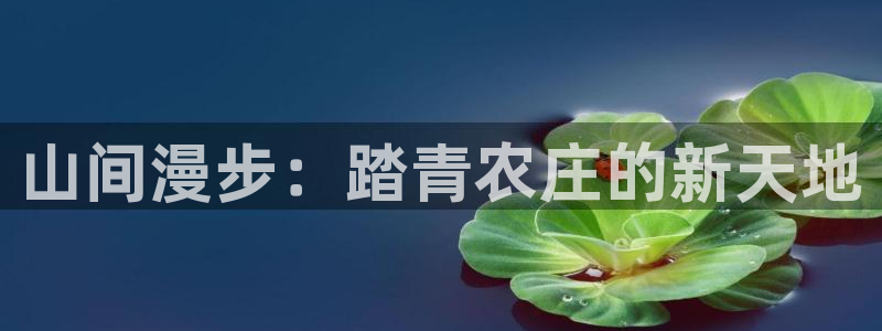 九游会怎么登