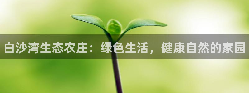 灯游会九门