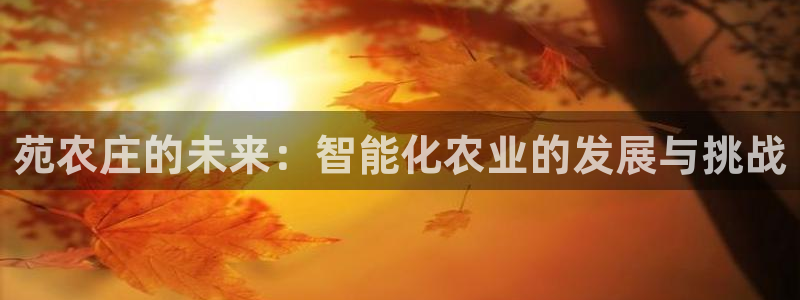 九游会j9