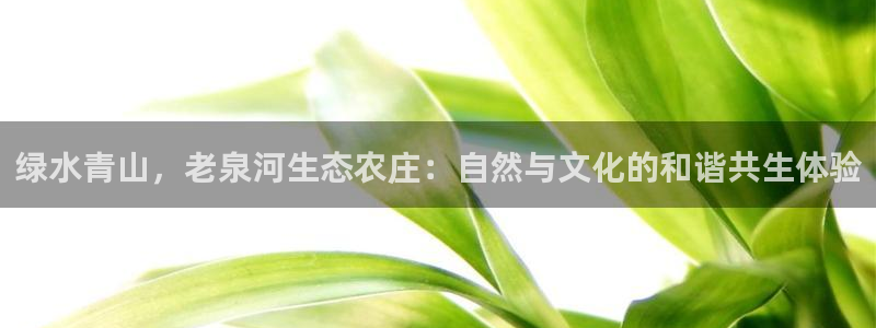 九游会大家有没有玩