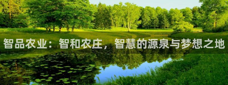 九游会真实网