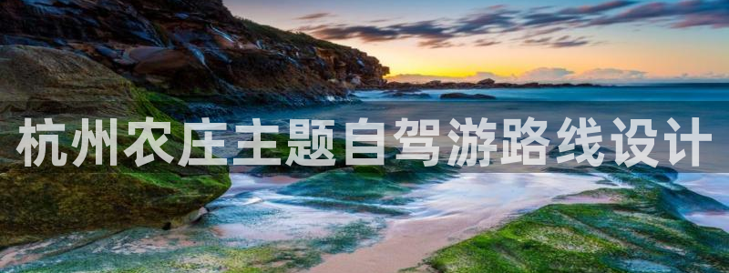 j9九游会网址多少