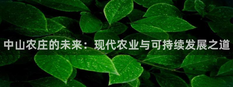 j9九游会网址多少