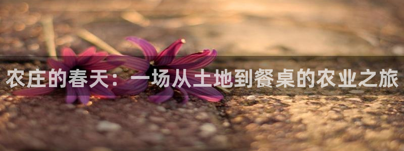 ah九游会