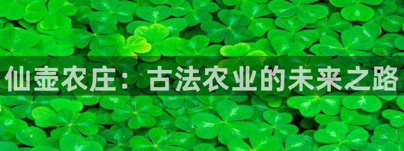 九游会如何