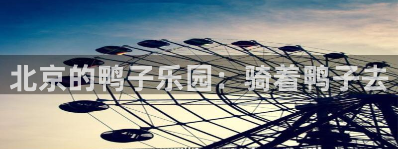 九游会怎么打不开了
