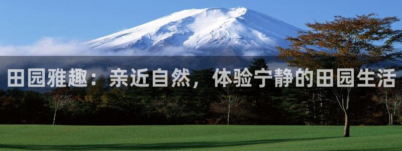 j9九游会数字