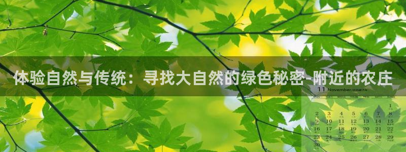 九游会与俄罗斯专享会