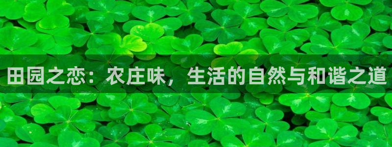 九游会手机客户端