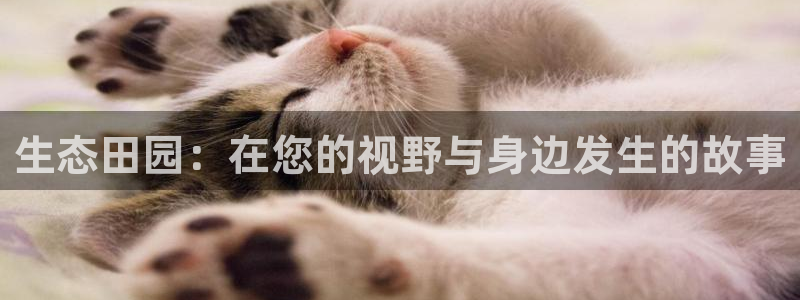 九游会链接