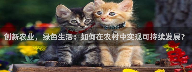 九游会和亚游