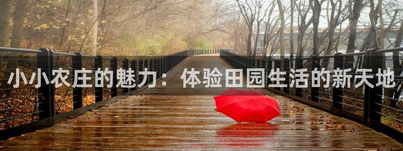 九游会大厅