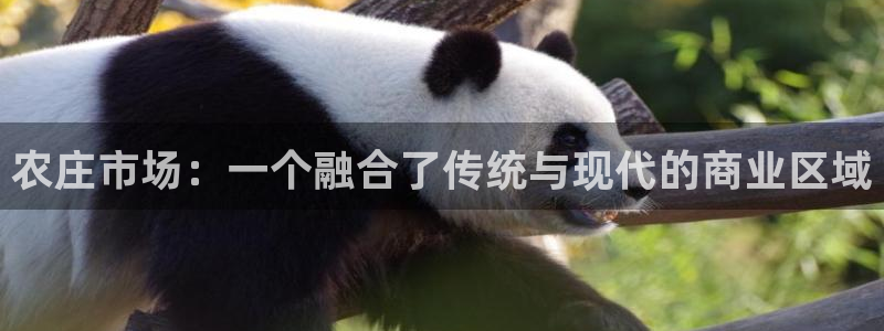 九游会手机app下载