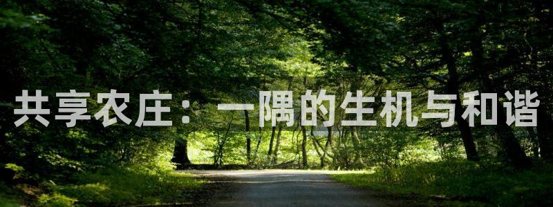 九游会ag入口