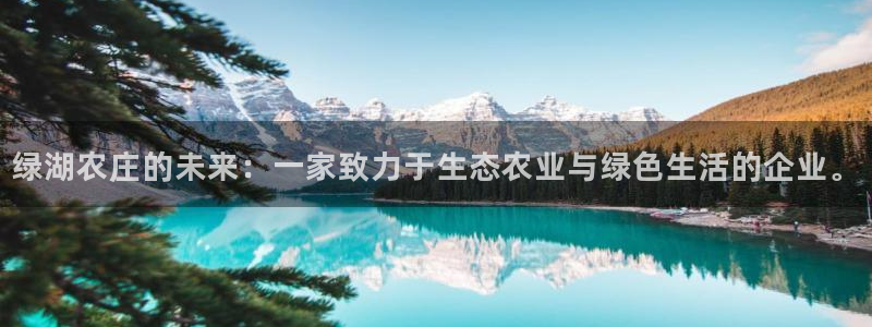 九游会游平台官网