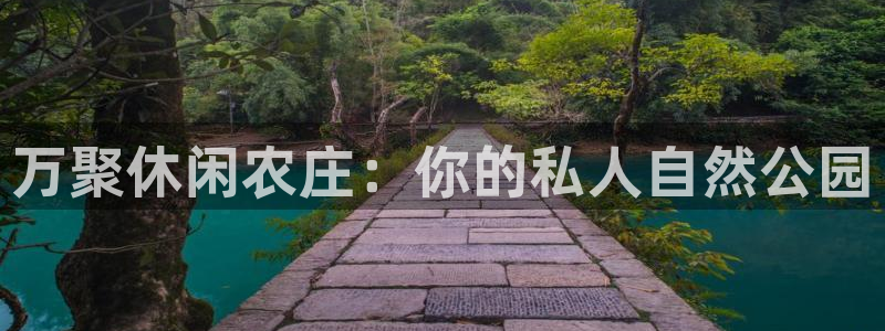 九游会提款未到显示成功