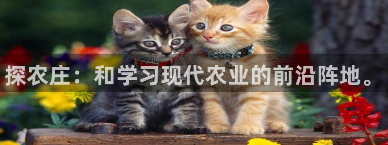 九游会9