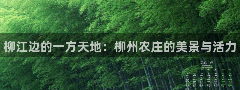 九游会老哥吧