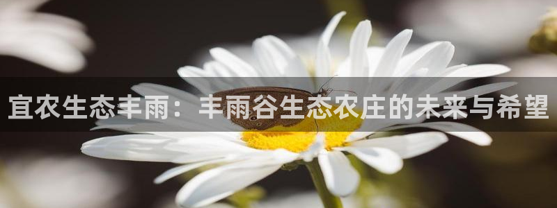 九游会体育官方平台