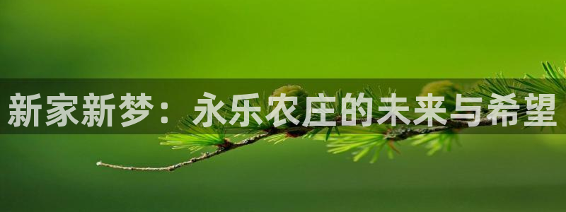 九游会 体育