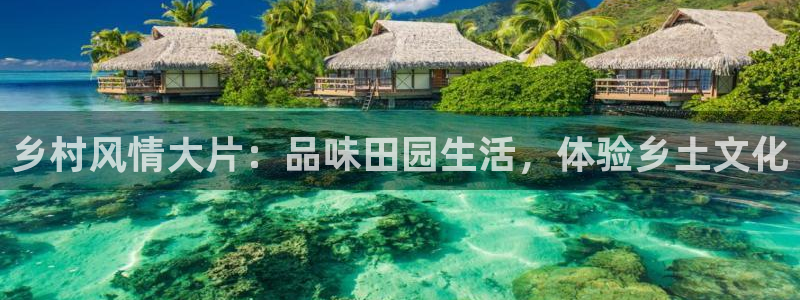 什么是九游会