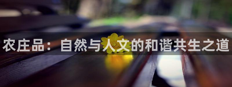j9数字货币九游会