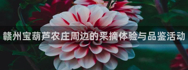 九游会网页版官网下载