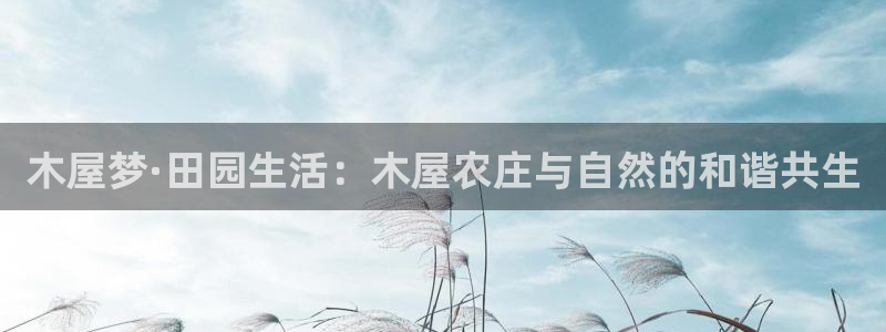 玩九游会