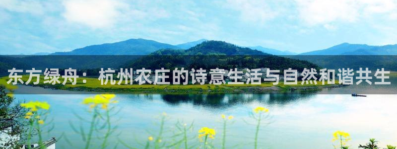 九游会网站打不开