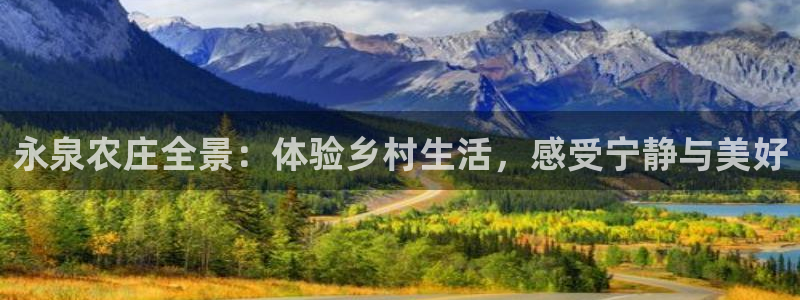 九游与九游会新选择