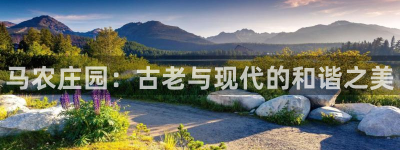 九游会官方网站