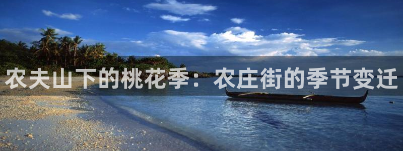 九游会正规网