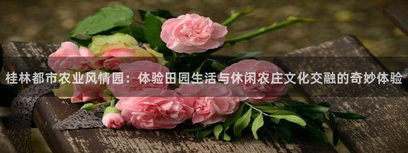 九游会棋牌游