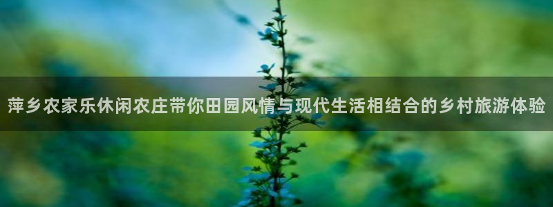 九游评论区留言会封号吗