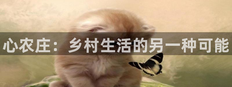ag九游会亚洲官网