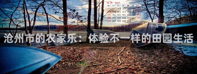 九游会体育电竞