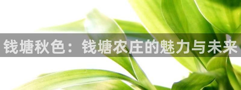 九游会备用网站