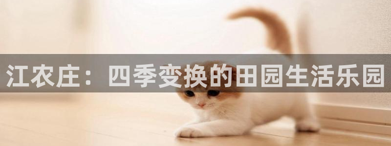jy9九游会