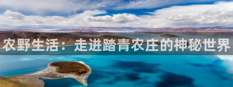 九游会真人官网
