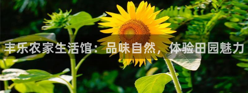 九游会官方登录