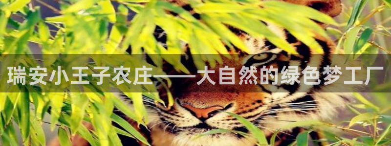九游会赢了