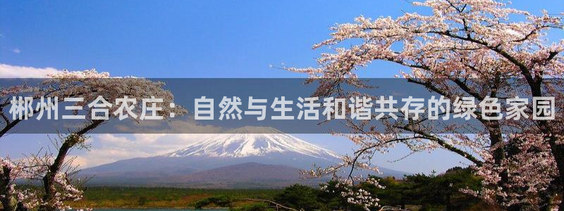 亚洲九游会公司