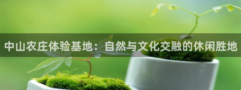 九游会怎么挖矿