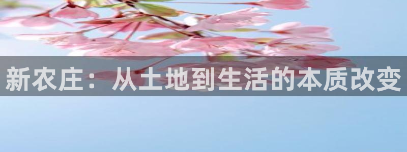 AG8九游会游会