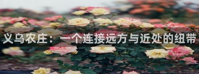 九游会连接