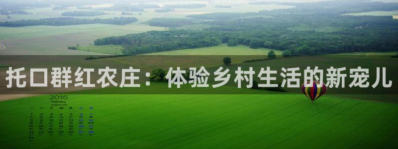 九游会网址