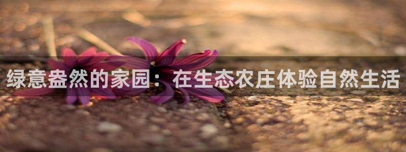 九游会吧